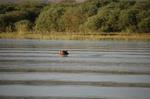Safari Arba Minch -216.jpg