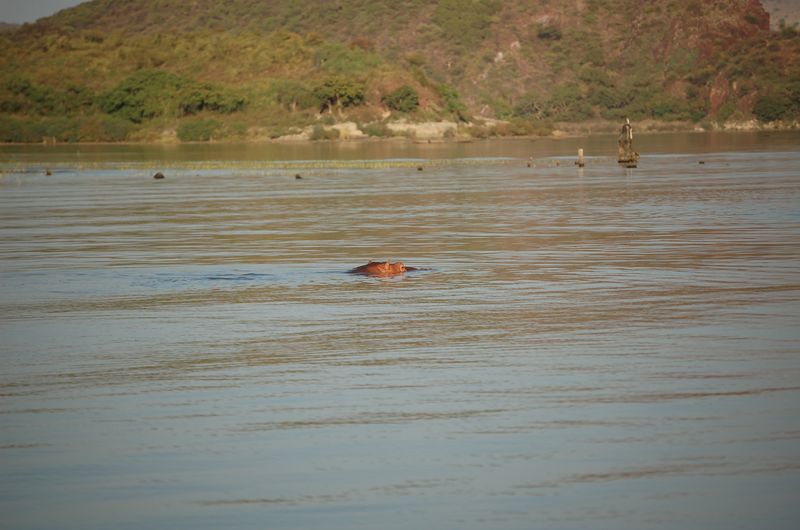 Safari Arba Minch -218.jpg