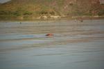 Safari Arba Minch -218.jpg