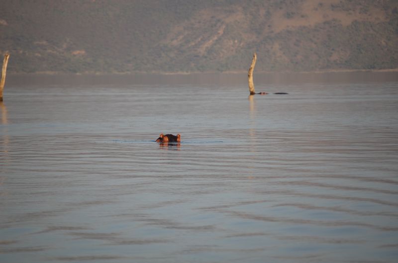Safari Arba Minch -220.jpg