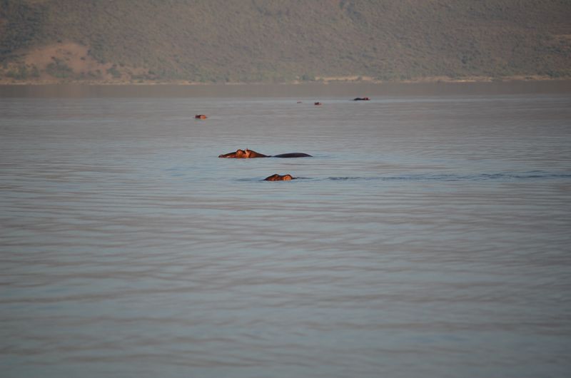 Safari Arba Minch -222.jpg