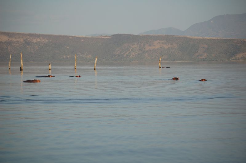 Safari Arba Minch -223.jpg