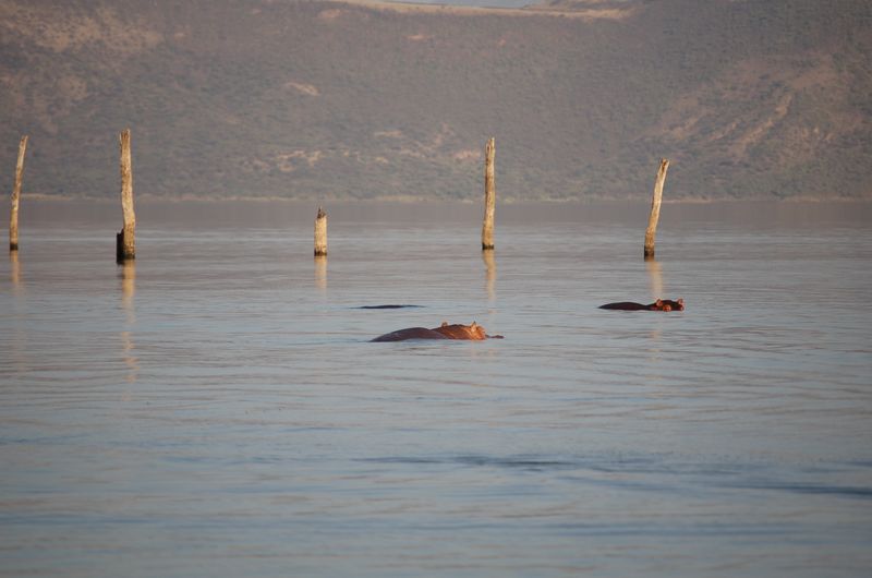 Safari Arba Minch -224.jpg