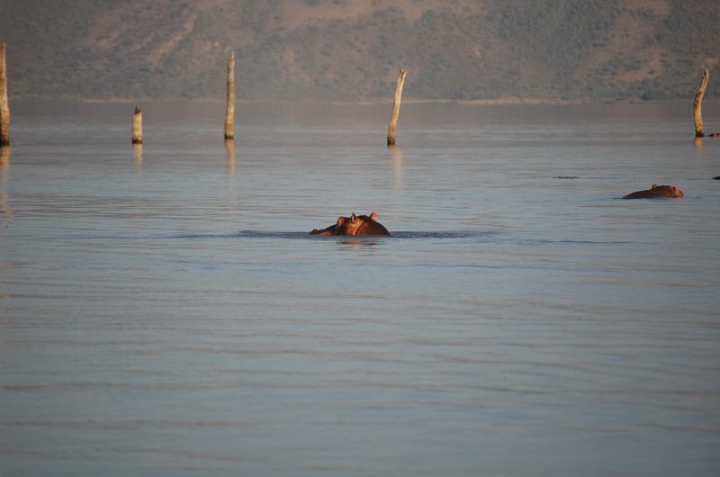 Safari Arba Minch -225.jpg