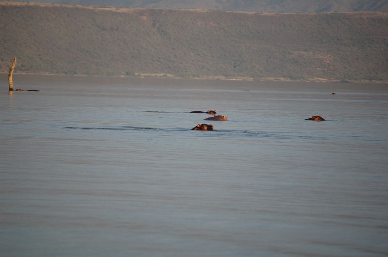 Safari Arba Minch -226.jpg