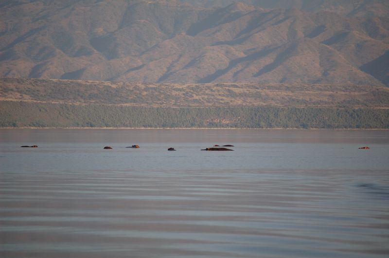 Safari Arba Minch -227.jpg