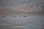 Safari Arba Minch -227.jpg