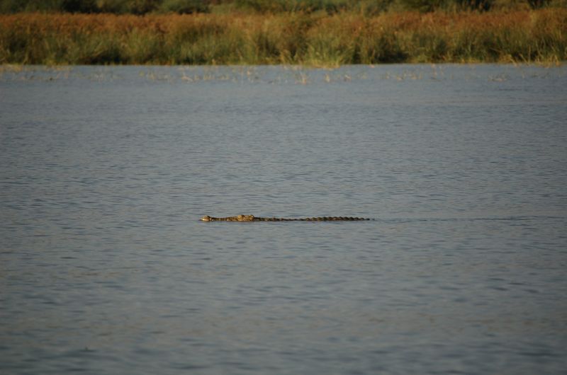 Safari Arba Minch -228.jpg