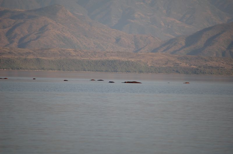 Safari Arba Minch -229.jpg