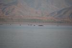 Safari Arba Minch -229.jpg