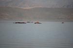 Safari Arba Minch -232.jpg