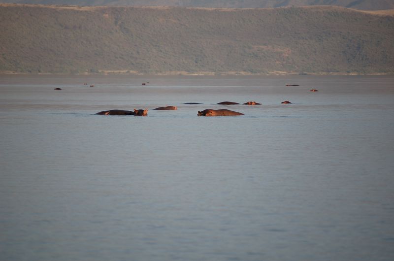 Safari Arba Minch -233.jpg