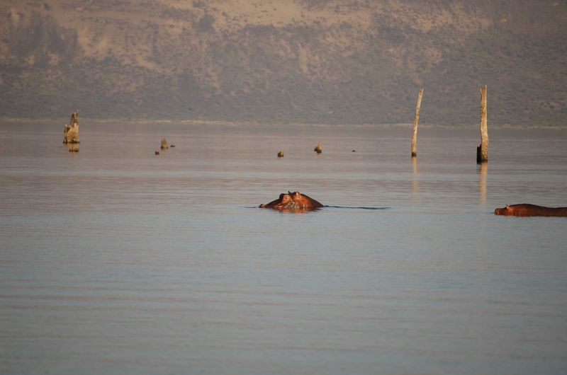 Safari Arba Minch -234.jpg