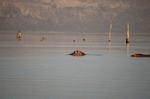 Safari Arba Minch -234.jpg