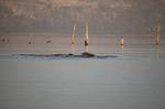 Safari Arba Minch -236.jpg