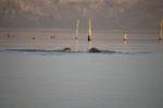 Safari Arba Minch -238.jpg