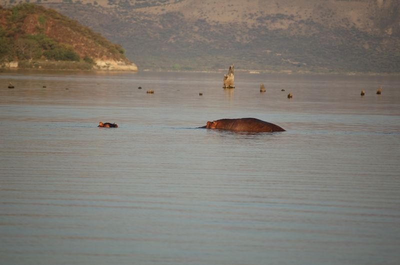 Safari Arba Minch -239.jpg