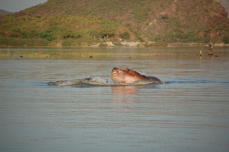 Safari Arba Minch -241.jpg