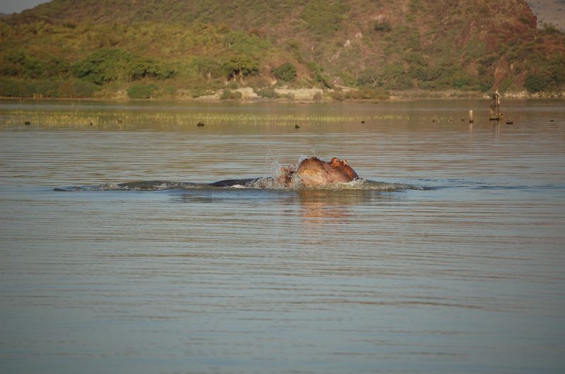 Safari Arba Minch -242.jpg