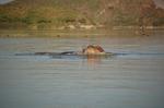 Safari Arba Minch -242.jpg