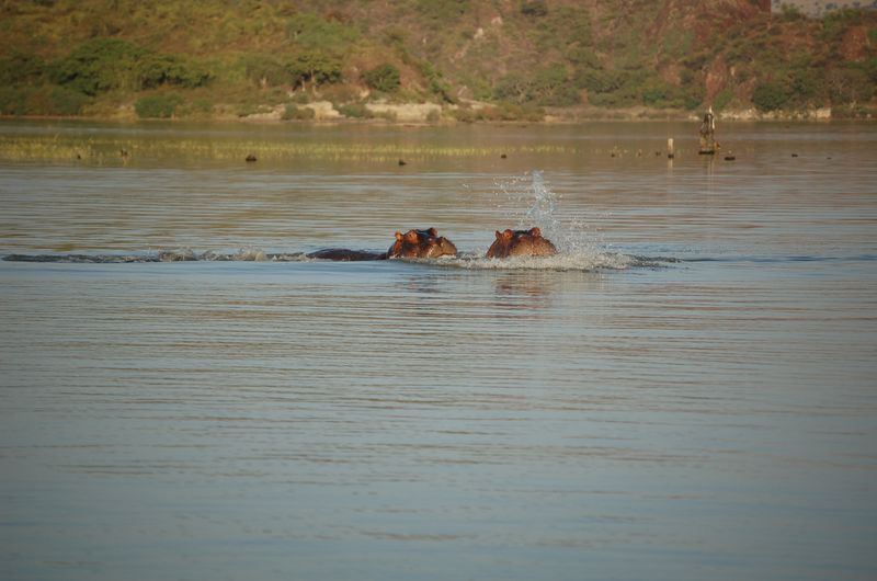 Safari Arba Minch -243.jpg