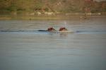Safari Arba Minch -243.jpg