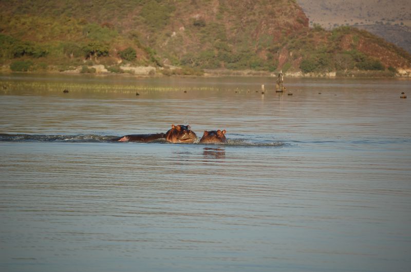 Safari Arba Minch -244.jpg