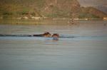 Safari Arba Minch -244.jpg