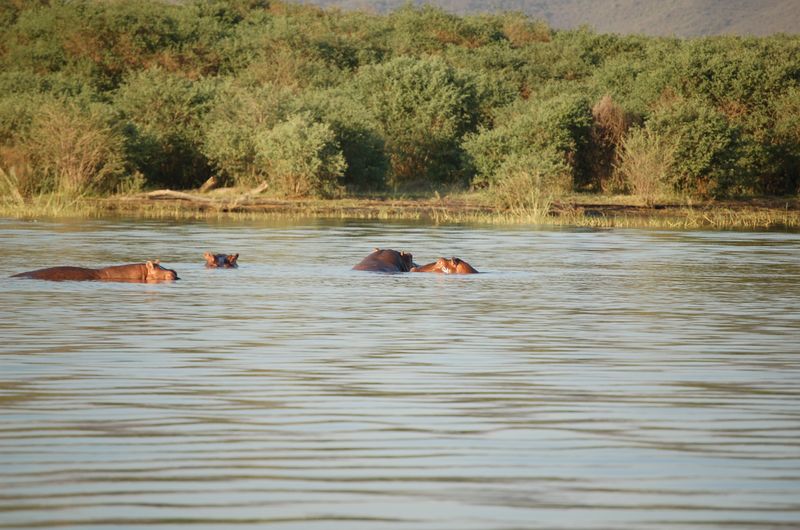 Safari Arba Minch -247.jpg