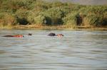 Safari Arba Minch -247.jpg