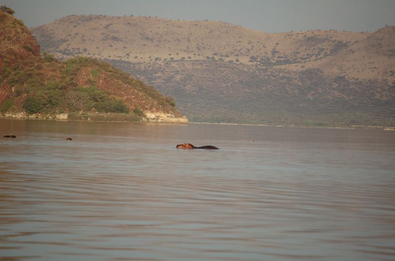 Safari Arba Minch -248.jpg