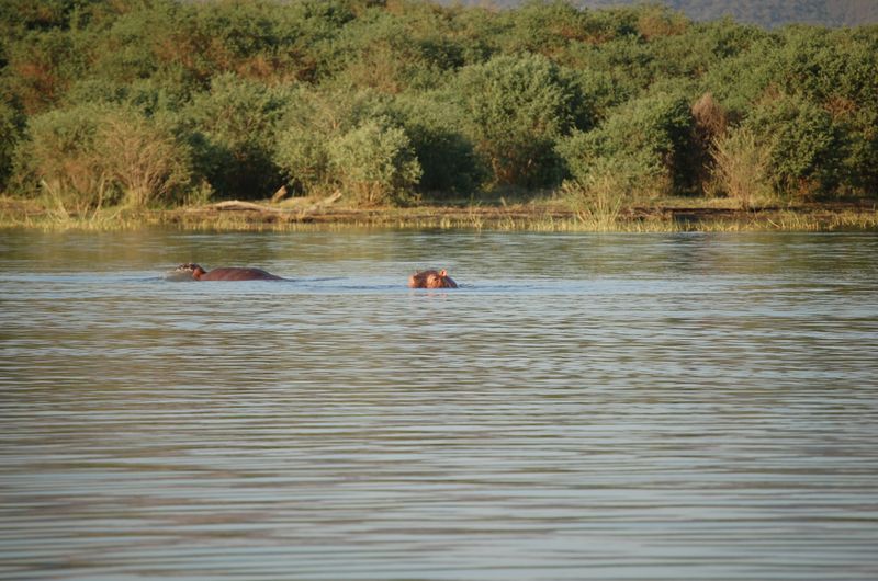 Safari Arba Minch -249.jpg
