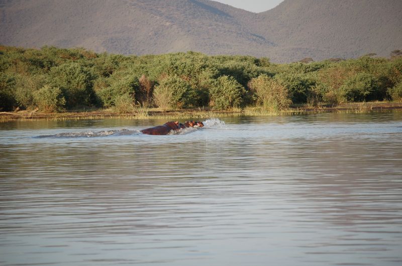 Safari Arba Minch -255.jpg