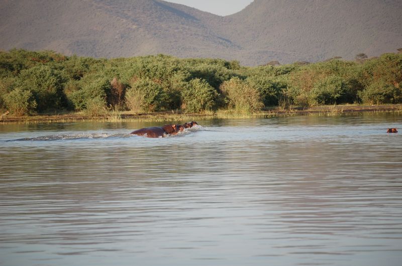 Safari Arba Minch -256.jpg