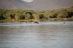 Safari Arba Minch -259.jpg