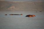 Safari Arba Minch -266.jpg
