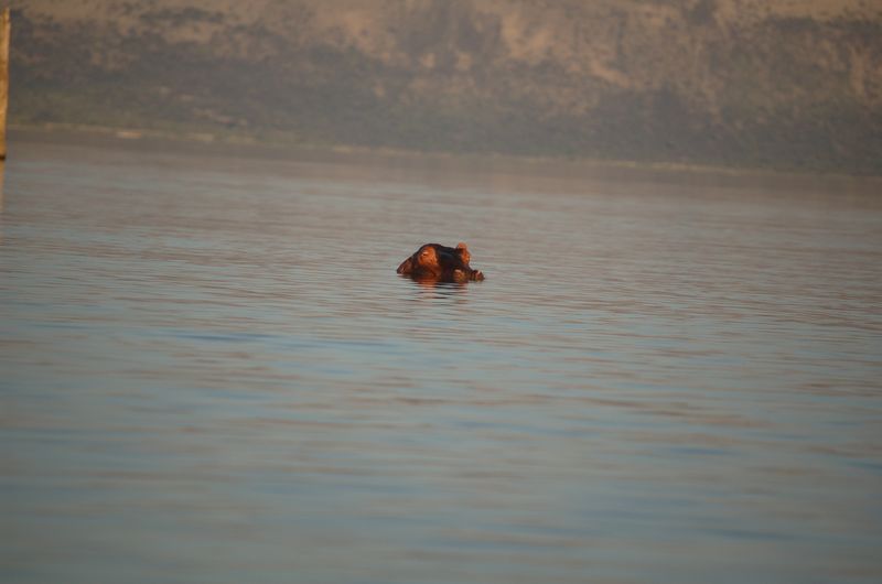Safari Arba Minch -267.jpg