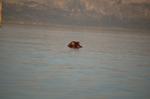 Safari Arba Minch -267.jpg
