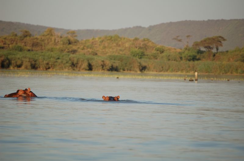 Safari Arba Minch -268.jpg