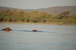 Safari Arba Minch -268.jpg