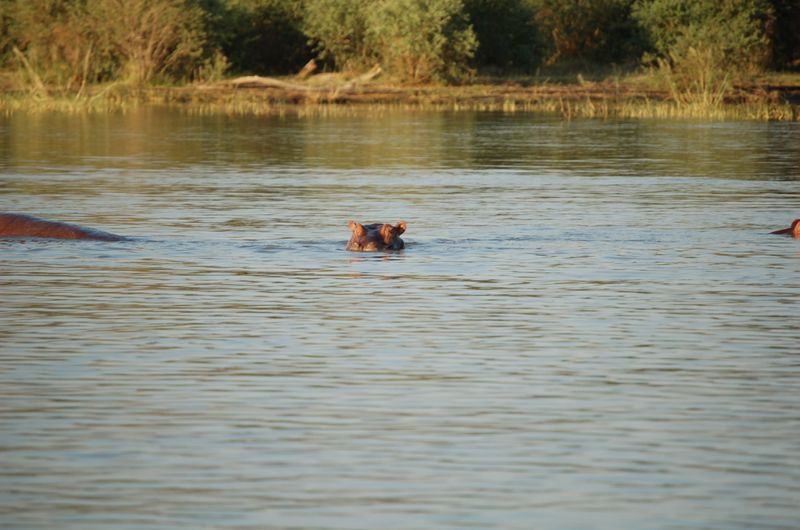 Safari Arba Minch -269.jpg
