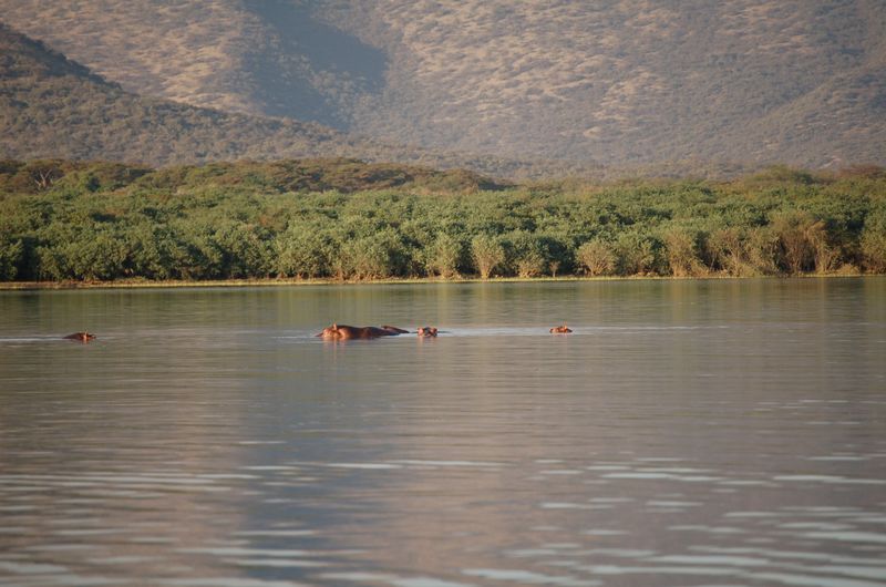 Safari Arba Minch -272.jpg