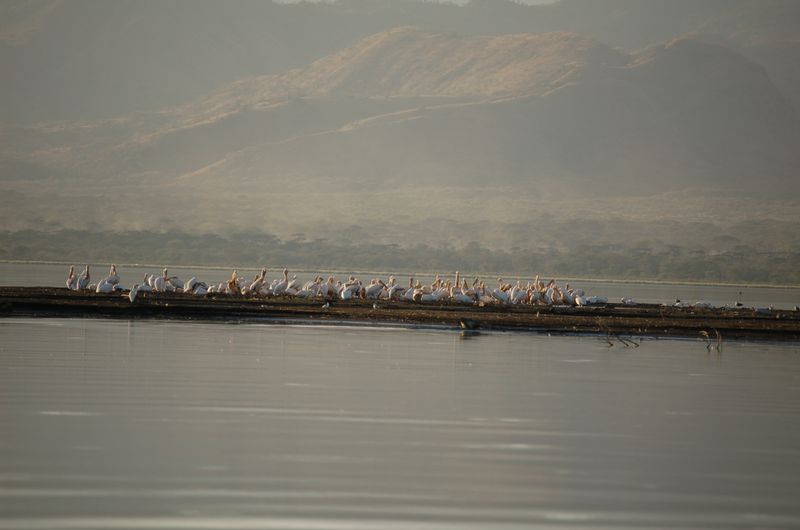 Safari Arba Minch -280.jpg