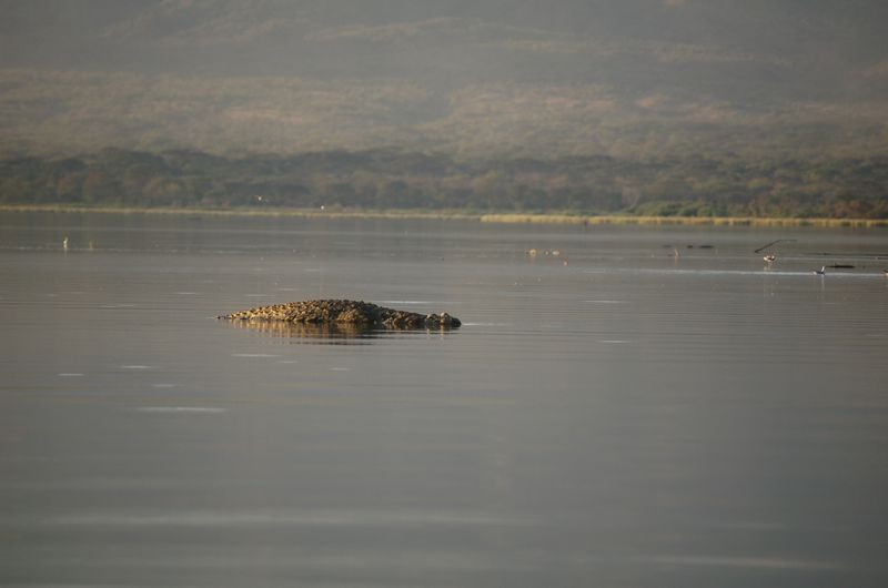 Safari Arba Minch -281.jpg