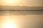 Safari Arba Minch -284.jpg