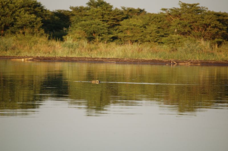 Safari Arba Minch -287.jpg