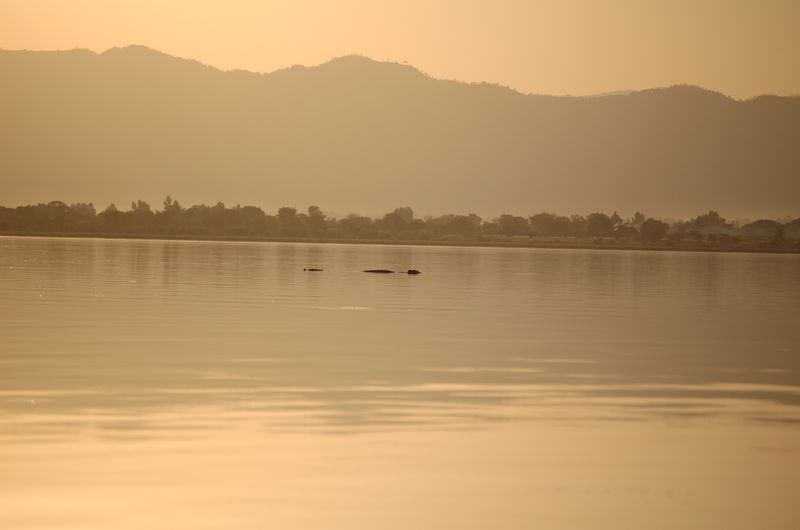 Safari Arba Minch -288.jpg