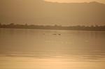 Safari Arba Minch -289.jpg