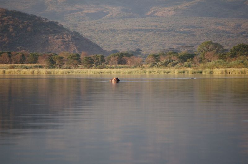 Safari Arba Minch -290.jpg