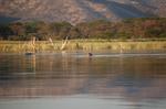 Safari Arba Minch -291.jpg